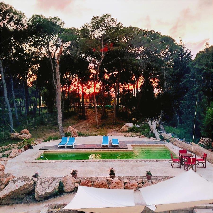 Castell Granadella Hotel L'Ampolla Ngoại thất bức ảnh
